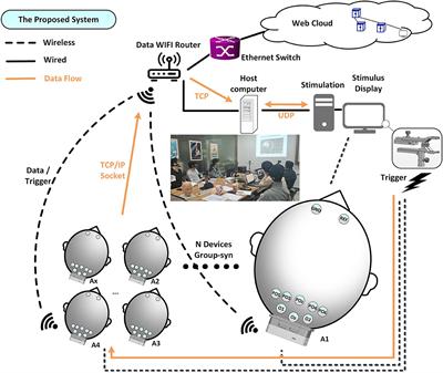 A wearable group-synchronized EEG system for multi-subject brain–computer interfaces